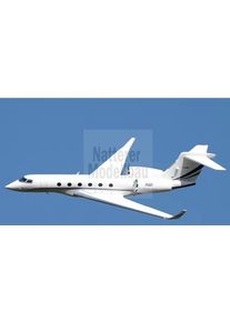 Freewing PJ50 Private Jet EPO 1700mm PNP