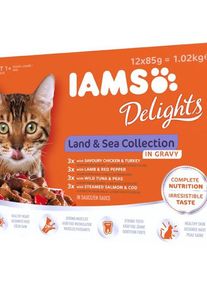 IAMS Cat Adult Land & Sea collection in Gravy 12x85g