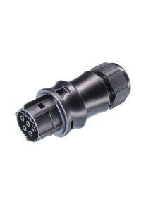 WIELAND Kabelbeslag Stik Fatning, 5 Poler, 20A, 400V - RST20I5S B1 ZR1 SW