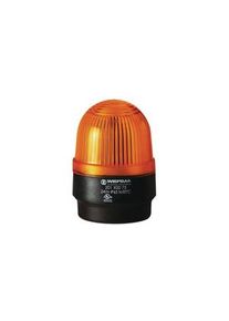 WERMA Balise LED continue AC 230V 25mA 58mm Jaune IP65 Borne serre-fil à cage 201 - 201.300.68
