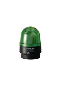 WERMA Balise LED continue AC / DC 24V 45mA 58mm Vert IP65 Borne serre-fil à cage 201 - 201.200.75