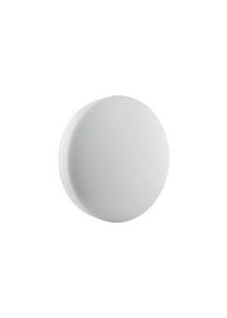 LEDVANCE Seinä- ja kattovalaisin 300mm 24W 3000K IP 65 - 4058075062207