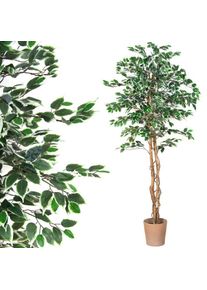 PLANTASIA Műnövény fikusz 190 cm