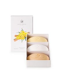 ACCA KAPPA - Seifenset Muschio Bianco - Giallo Elicriso - Sandalo