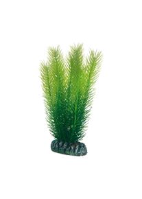 Hobby Aquariumdekoration Mayaca 16 cm