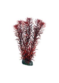 Hobby Aquariumdekoration Eusteralis 20 cm