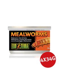 EXO TERRA Reptilienfutter Mehlwürmer 4x34g