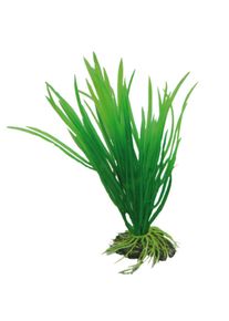 Hobby Aquariumdekoration Cyperus 16 cm