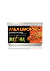 EXO TERRA Reptilienfutter Mehlwürmer 34g