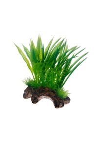Hobby Aquariumdekoration Flora Root 1, S 17 cm