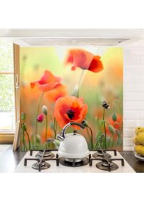 MICASIA Crédence en verre - Red Summer Poppy - Carré 1:1 Dimension: 59cm x 60cm