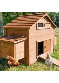 Bb-loisir - Poulailler en bois pour jardin extérieure cage canard équipé 2 nichoirs 185 x 84 x 112 cm Modèle 154 Ferme de terrain