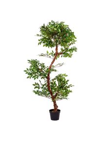 PLANTASIA Műnövény fikusz 160 cm
