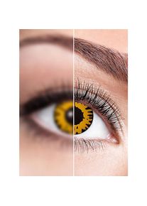 maskworld Twilight contact lens with diopters | halloween contact lenses