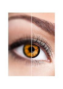 maskworld Lentille de contact Pumpkin avec dioptries