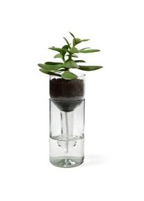 Side By Side Planter Zelf Water gevende Fles