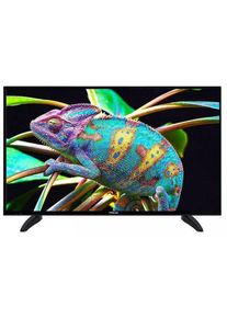 Î¤Î·Î»ÎµÏÏÎ±ÏÎ· 43 &quot; Smart TV Full HD, 43-FFA-5230, Finlux