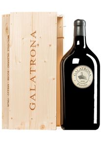 Fattoria Petrolo Galatrona Merlot Val d'Arno di Sopra DOC 2020 (BIO) Double MAGNUM in OWC
