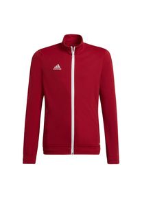 SALE | Adidas | Kids Trainingsjack | Blauw | Maat: 140
