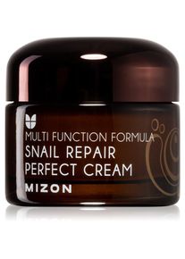 Mizon Multi Function Formula Snail Gezichtscrème met Slak Secretie Filtraat 60% 50 ml