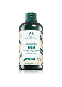 The Body Shop Ginger Conditioner balsamo per pelli secche 250 ml