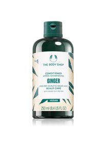 The Body Shop Ginger balsamo per pelli secche 250 ml