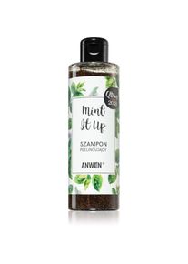 Anwen Mint It Up exfoliating shampoo 200 ml
