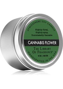 The Library of Fragrance Cannabis Flower geurkaars 142 gr
