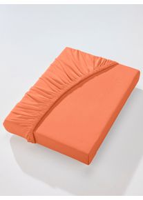 Biberna unisex Hoeslaken in terracotta ,maat 1 st. 120x200 - 130x220 cm, Witt, 97% Katoen, 3% Elastan