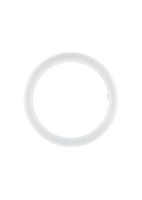 Tubo LED T9 Circular 20W Luz Fría 32 Osram