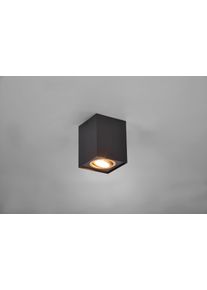 Trio Cookie Lampa Sufitowa Złoty, Czarny, 1-punktowy