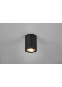 Trio Cookie Lampa Sufitowa Złoty, Czarny, 1-punktowy