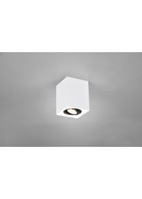 Trio Cookie Lampa Sufitowa Czarny, Biały, 1-punktowy