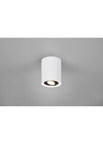 Trio Cookie Lampa Sufitowa Czarny, Biały, 1-punktowy