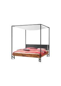 Hasena Bettgestell »Bogina«, Himmelbett Inkl. Baldachin-Tuch, Akazie Massiv, Mit Polsterkopfteil grau, Größe Liegefläche B/L: 140 cm x 200 cm...