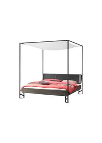Hasena Bettgestell »Bogina«, Himmelbett Inkl. Baldachin-Tuch, Akazie Massiv, Mit Polsterkopfteil grau, Größe Liegefläche B/L: 140 cm x 200 cm...