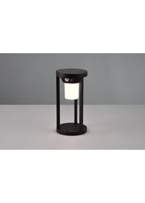 Trio Carmo Solarlamp LED Zwart, 1-licht, Bewegingsmelder