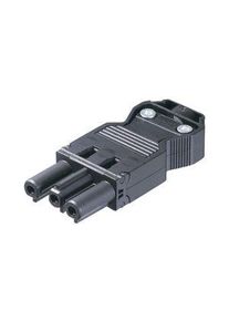 WIELAND Beleuchtung Buchse, 3 Pole, 20A, 250V - GST18I3S B1 ZR1 SW