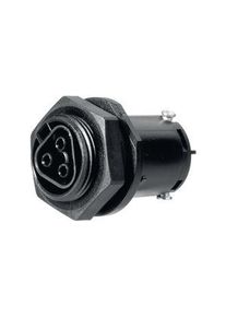 WIELAND Gerätebuchse M25, innen Buchse, 3 Pole, 20A, 250V - 96.031.5053.1