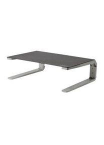 StarTech.com Skjermstativ, 10kg, Svart/sølv - MONSTND