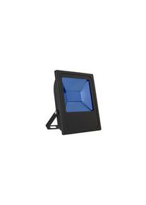 Bailey Lights Lyskaster, 50W, 240VAC, 500lm, 5000K, Blå, LED, IP65 / IK06 - 145476