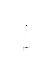 StarTech.com TV- takmontering, Tak, 50kg, 75" (190.5 cm), Støttede skjermer - 1, Svart - FPCEILPTBLP