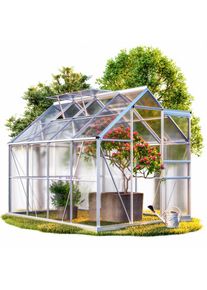 Gardebruk® Serre de jardin en aluminium 250x190x195cm avec 2 lucarnes