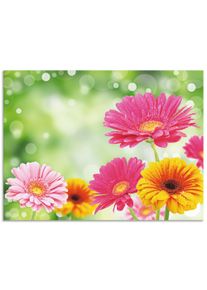 Artland Wandbild »Natürliche Romantik - Gerberas«, Blumen, (1 St.), Gedruckt bunt, Größe B/H: 40 cm x 30 cm B/H: 40 cm x 30 cm , Verschiedene...