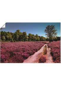 Artland Wandbild »Lüneburger Heide Romantik«, Blumenwiese, (1 St.) lila, Größe B/H: 60 cm x 40 cm B/H: 60 cm x 40 cm , Verschiedene Größen &...