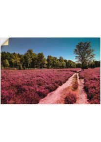 Artland Wandbild »Lüneburger Heide Romantik«, Blumenwiese, (1 St.) lila, Größe B/H: 90 cm x 60 cm B/H: 90 cm x 60 cm , Verschiedene Größen &...