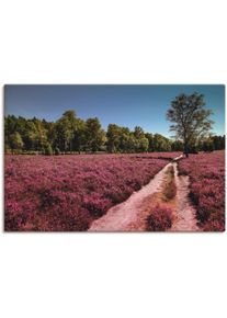 Artland Wandbild »Lüneburger Heide Romantik«, Blumenwiese, (1 St.) lila, Größe B/H: 30 cm x 20 cm B/H: 30 cm x 20 cm , Verschiedene Größen &...