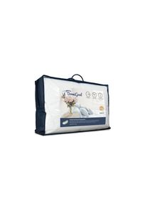 AM Qualitätsmatratzen DormiGood® | Premium Daunenkissen - 40 x 80 cm