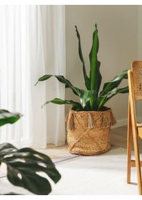 benuta Pure Kori Judi Luonto 35x35x35 cm Rakenteiden yhdistelm&auml;,Trendin ilme