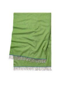 Ceiling Horizon Green,